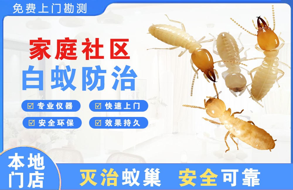 江都家庭社区白蚁防治