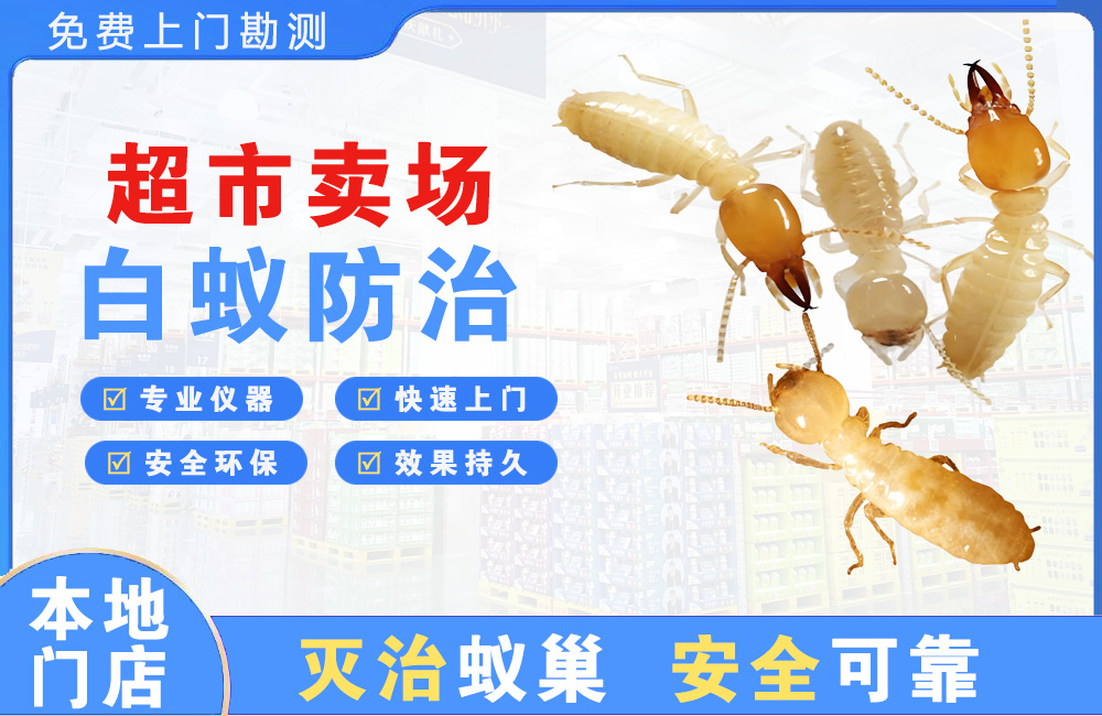 江都超市卖场白蚁防治