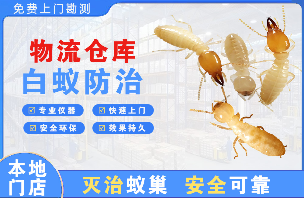江都物流仓库白蚁防治