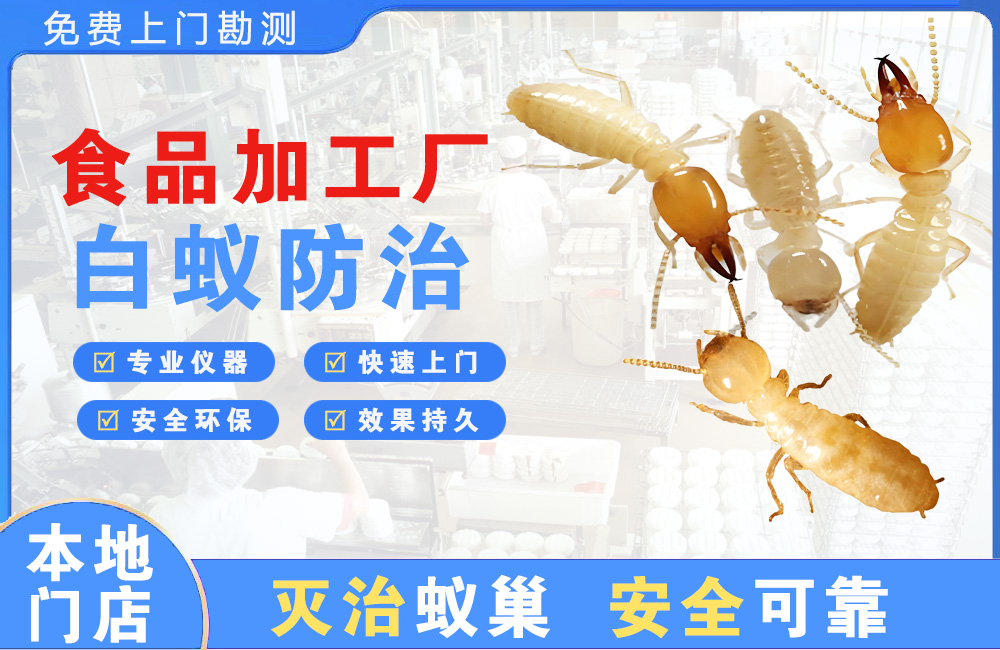 江都食品加工厂白蚁防治
