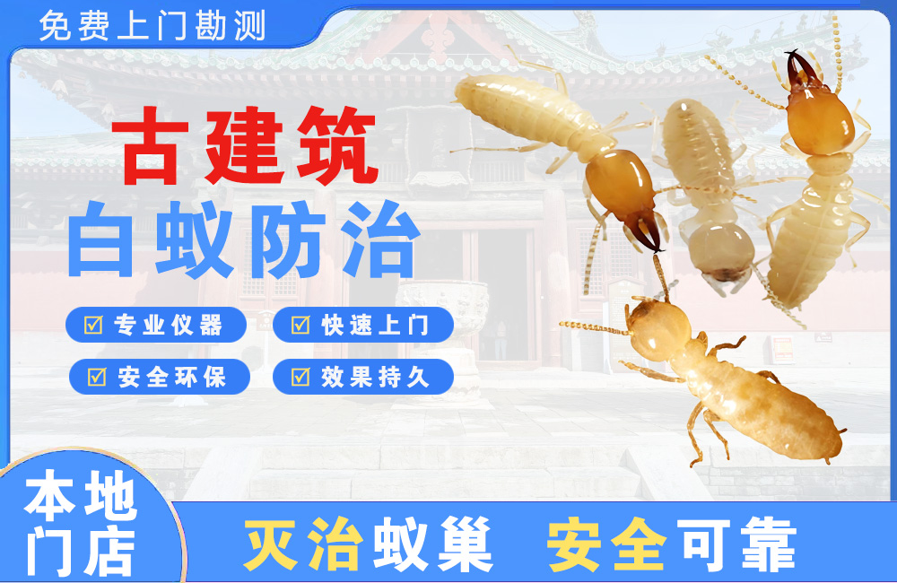 江都古建筑白蚁防治