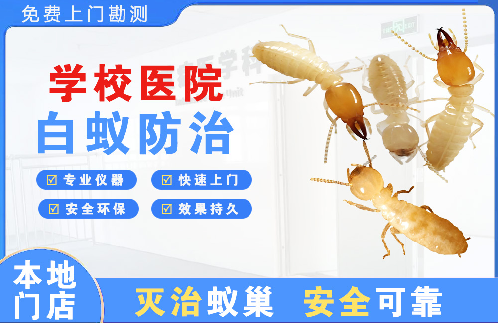 江都学校医院白蚁防治
